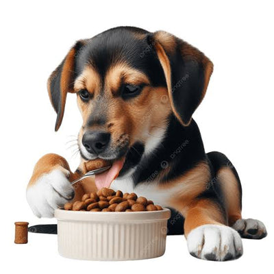 PUPPY EATING FOOD IN DOG BOWL