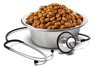 Hepatic Dog Food – Liver Support Diet for Dogs - dspetstore.com