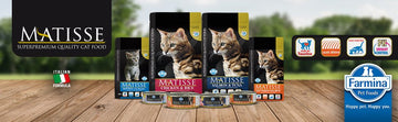 Matisse Dry Cat Food - dspetstore.com