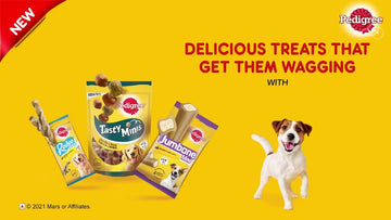 Pedigree Dog Treats - dspetstore.com