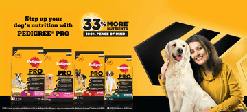 Pedigree Pro Dog Food - dspetstore.com