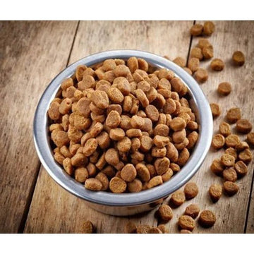 Puppy Dry Dog Food - dspetstore.com