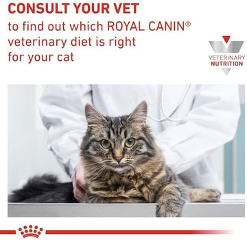 Royal Canin Cat Food - dspetstore.com