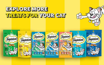 Temptations Cat Treats - dspetstore.com