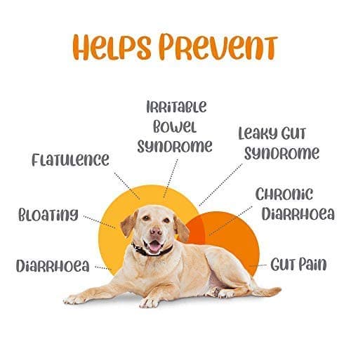 Dog lying on a white background with text about health benefits