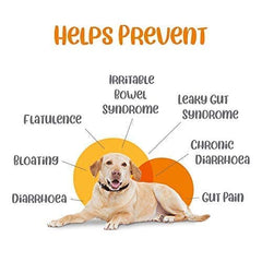 Dog lying on a white background with text about health benefits