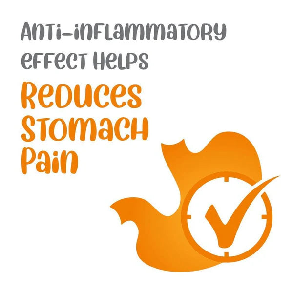 Text about anti-inflammatory effects reducing stomach pain with an orange symbol on a white background