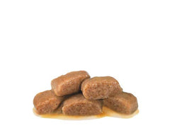 Dog treats on a white background