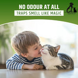 Child and cat interacting on a light surface with a green banner at the top.