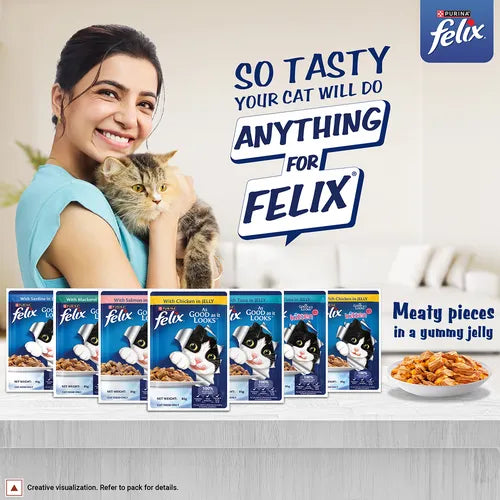 Woman holding a cat with Felix cat food packages and promotional text on a light background