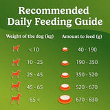 Dog feeding chart with recommended daily feeding amounts on a green background