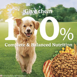 Dog running on grass with text about complete and balanced nutrition, bowl of dog food, and corn kernels.