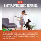 Woman training a dog with text about dog training myths and benefits.