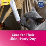 Cat interacting with a tube of dermatological product, with 'GimCat' and 'PANAV' branding.