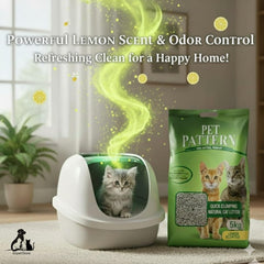 Cat litter box with a kitten and a bag of Pet Pattern cat litter in a home setting.