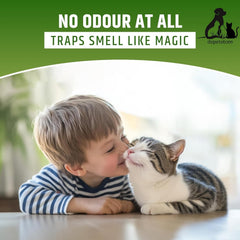 Child and cat interacting on a light surface with a green banner at the top.