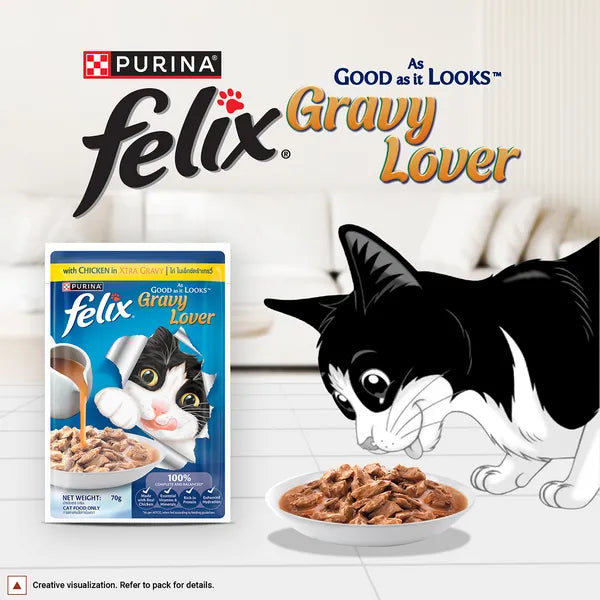 Purina Felix Gravy Lover cat food packaging with a cartoon cat eating from a bowl on a white background.