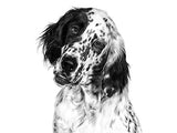 Royal Canin Veterinary Diet Satiety Weight Management Dog Dry Food