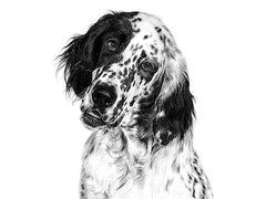 Royal Canin Veterinary Diet Satiety Weight Management Dog Dry Food