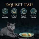 Gray cat with a plate of cat food and icons indicating features like 'Exquisite Taste' on a dark background.