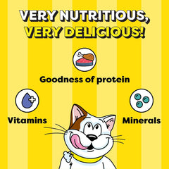 Cartoon cat with nutritional benefits on a yellow background