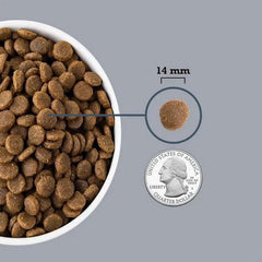 Acana Adult Small Breed Dry Dog Food - dspetstore.com