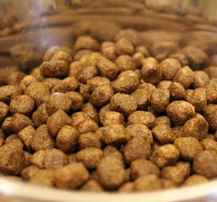 Acana Wild Coast Fish Dog Food – High - Protein, Grain - Free - dspetstore.com