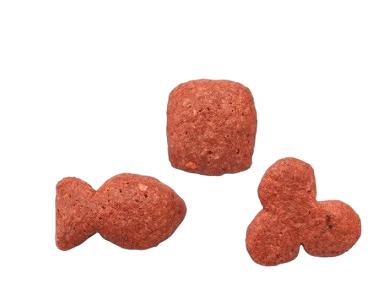 Apro Kitten Food - dspetstore.com