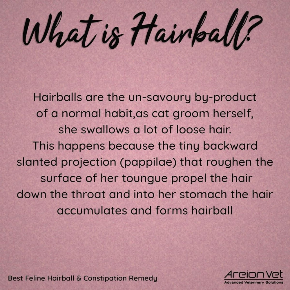 Areionvet Feli - Lax for Kittens & Young Cats (50g) - dspetstore.com