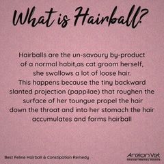 Areionvet Feli - Lax for Kittens & Young Cats (50g) - dspetstore.com