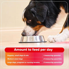 Beaphar Bone Builder Calcium Supplement for Dogs & Cats - dspetstore.com