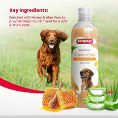 Beaphar Brown Coat Dog Shampoo – 250ml - dspetstore.com