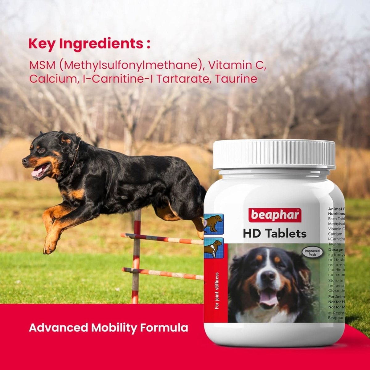 Beaphar HD Dog Joint Supplement - 100 Count - dspetstore.com