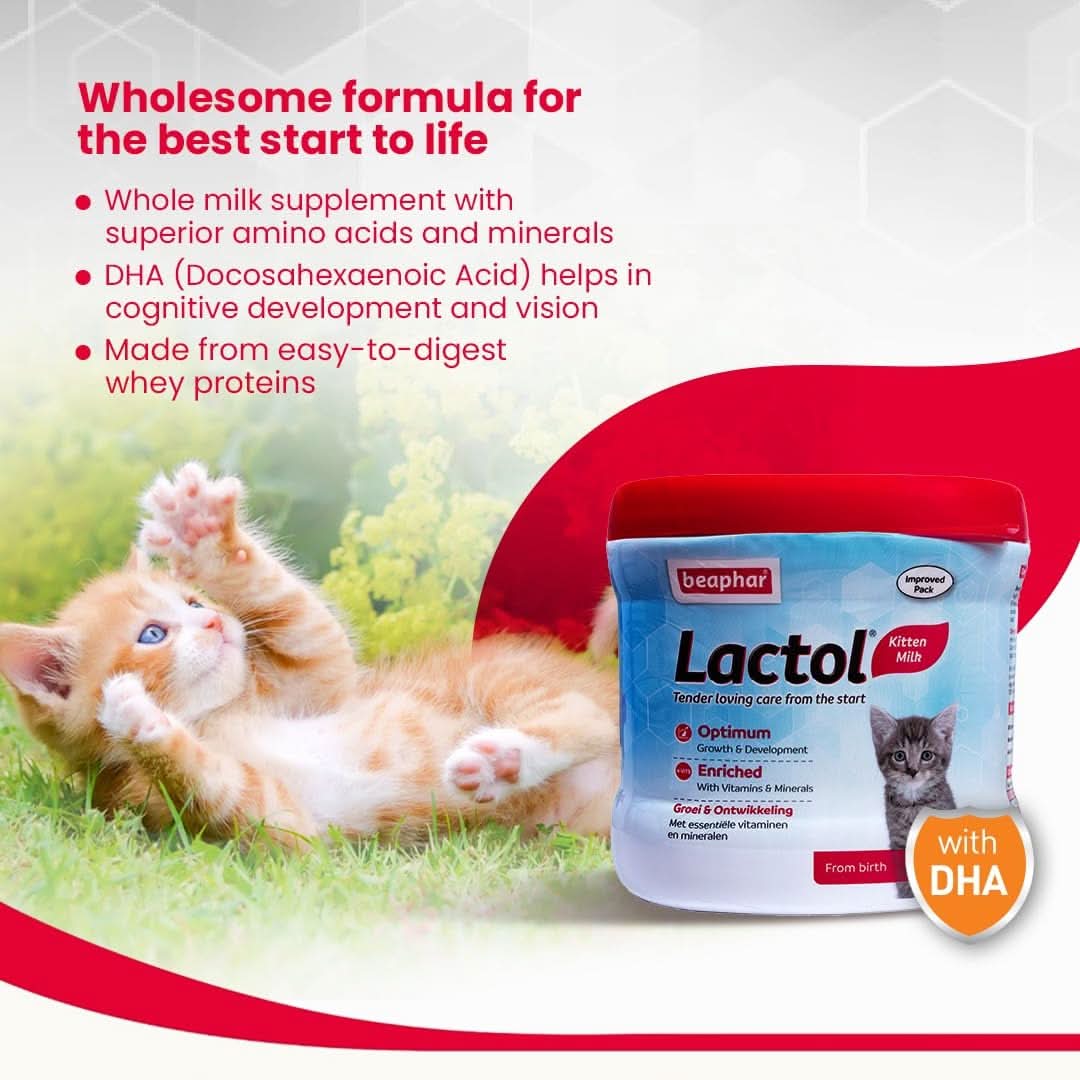 Beaphar Lactol Kitten Milk From Birth - dspetstore.com