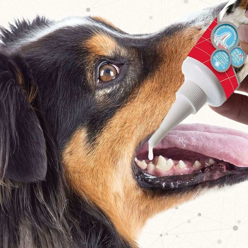 Beaphar Tooth Gel for Dogs and Cats - Oral Care for Pets - dspetstore.com