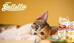 Bellotta Cat Food for Adult & Kittens - Tuna Topping Shirasu In Jelly - dspetstore.com