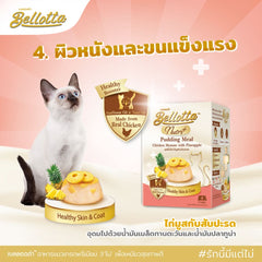 Bellotta Nutri+ Pudding Meal Chicken Mousse with Pinapple - dspetstore.com