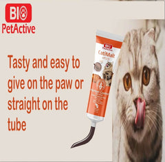 Bio PetActive Catimalt Plus Hairball Control For Cats (100ml) - dspetstore.com