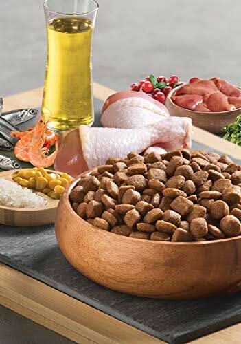 Bonacibo Adult Cat Food Chicken with Rice - dspetstore.com
