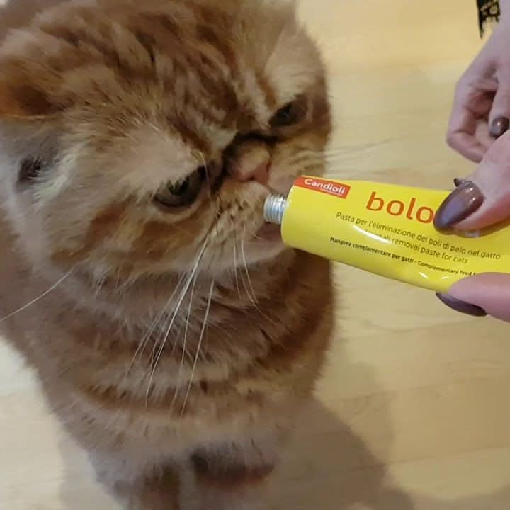 Candioli Bolovia Hairball Removal Paste For Cats - dspetstore.com