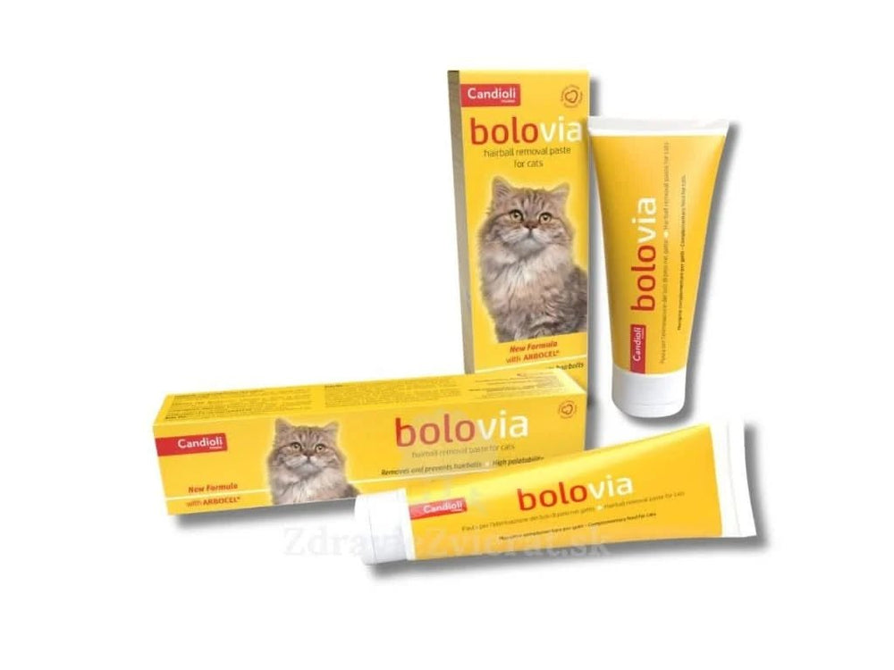 Candioli Bolovia Hairball Removal Paste For Cats - dspetstore.com