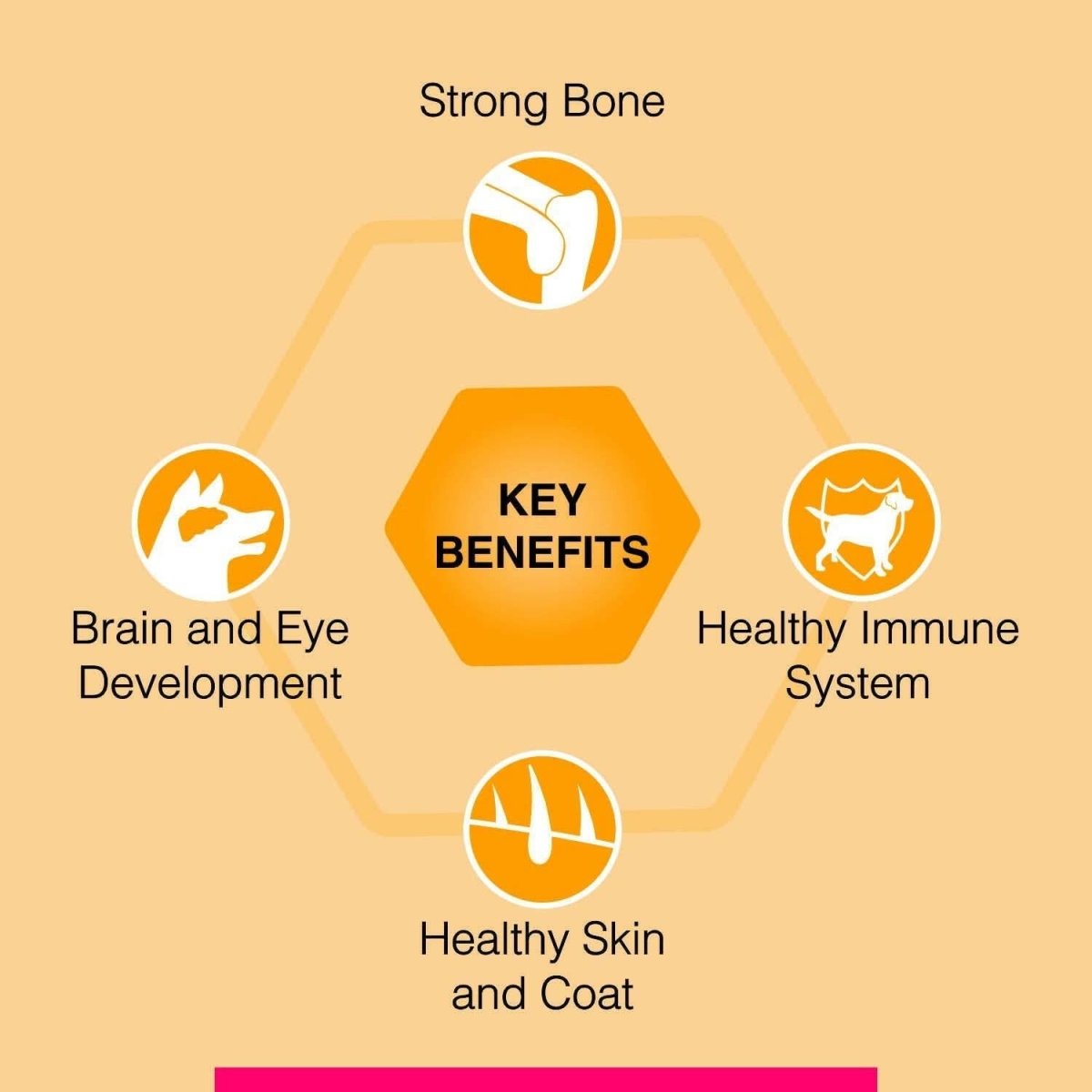 Canine Creek Club Dog Food - dspetstore.com