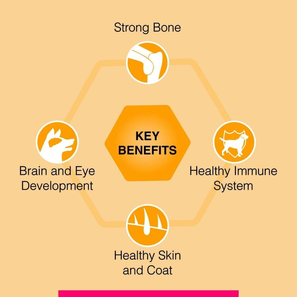 Canine Creek Club Dog Food - dspetstore.com