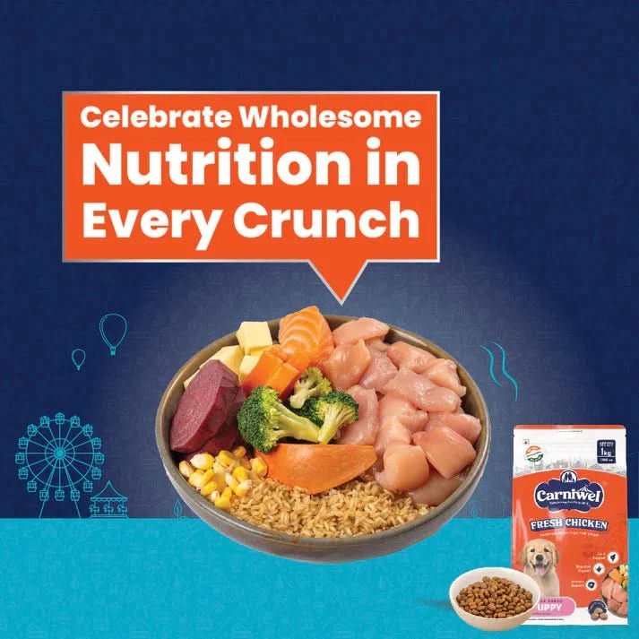 Carniwel with Fresh Chicken, Dry Dog Food for Large Dog, Puppy - dspetstore.com