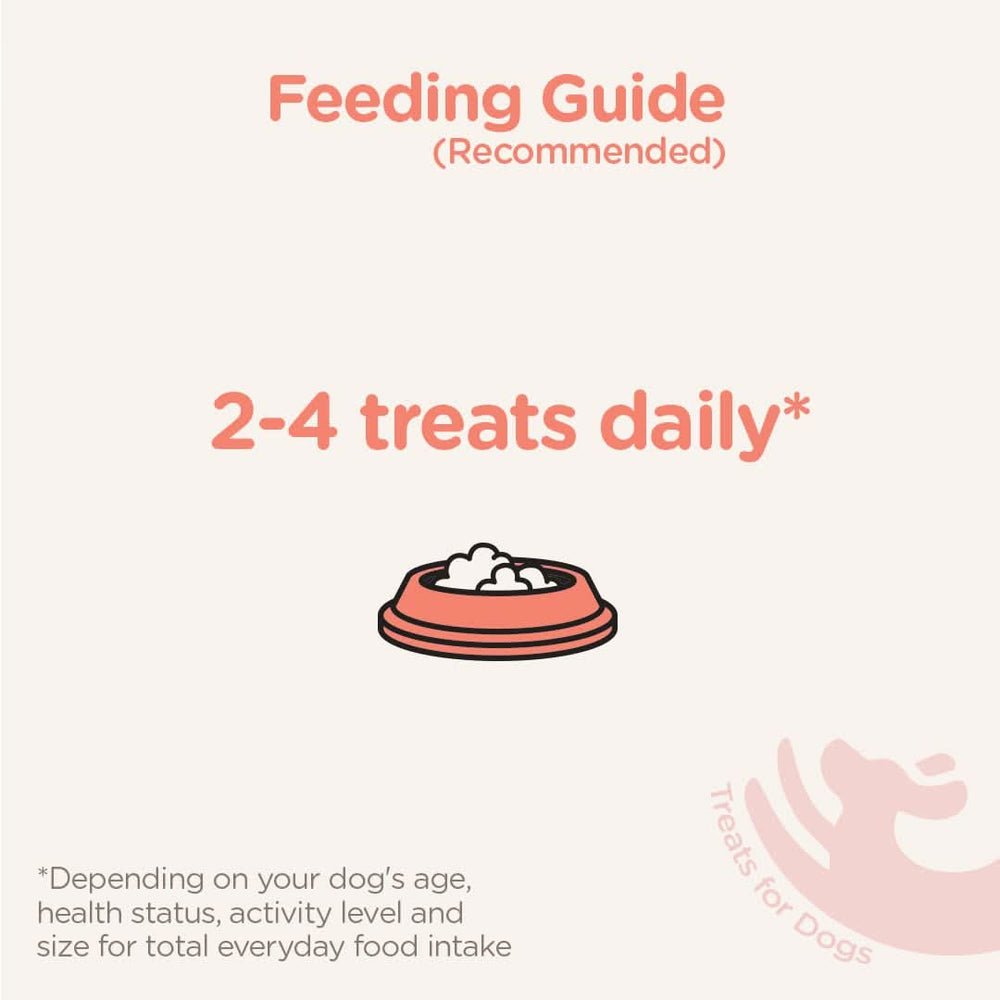 Chip Chops Chicken Pasta Dog Treats - dspetstore.com