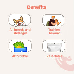 Chip Chops Chicken Pasta Dog Treats - dspetstore.com