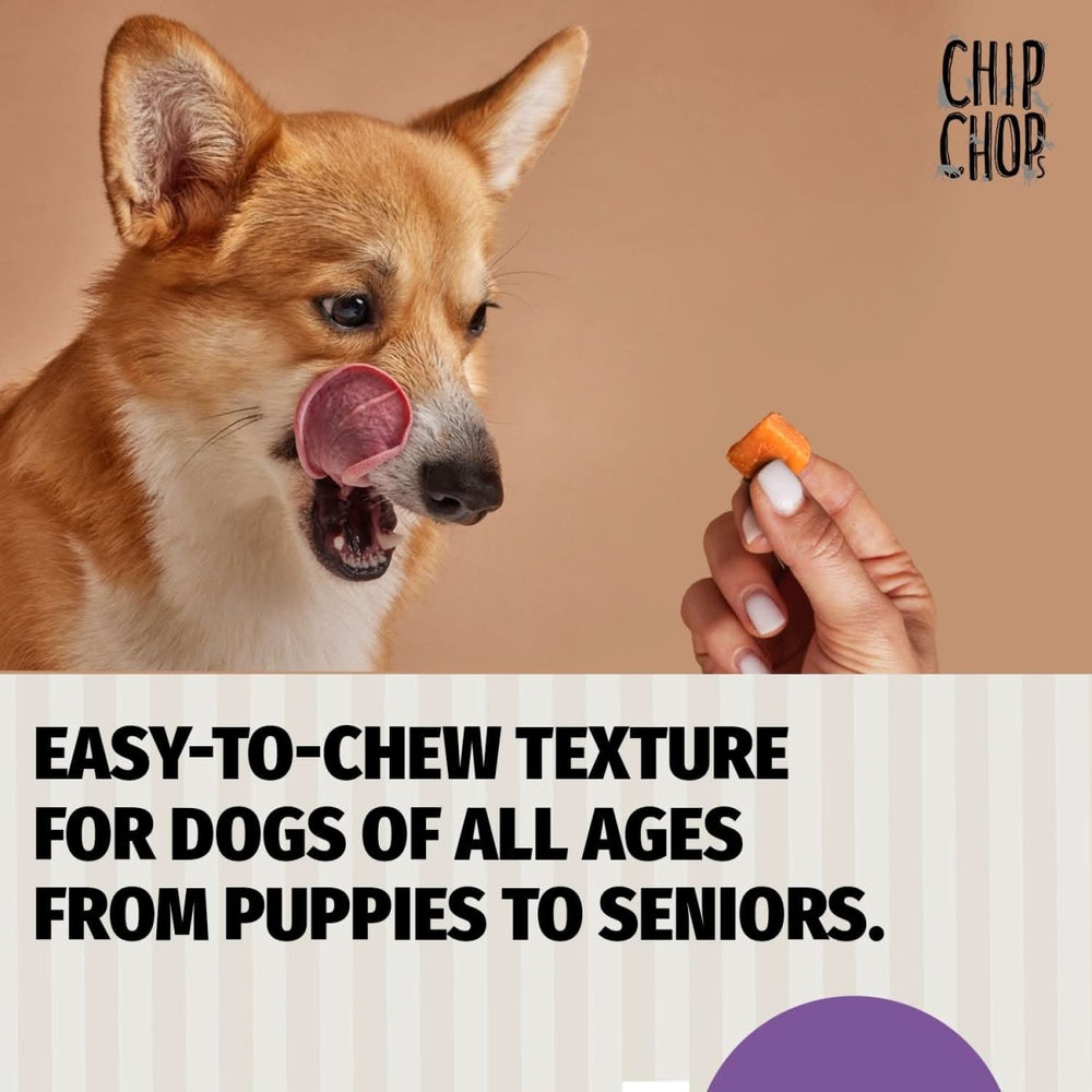 Chip Chops Diced Chicken Dog Treats - dspetstore.com