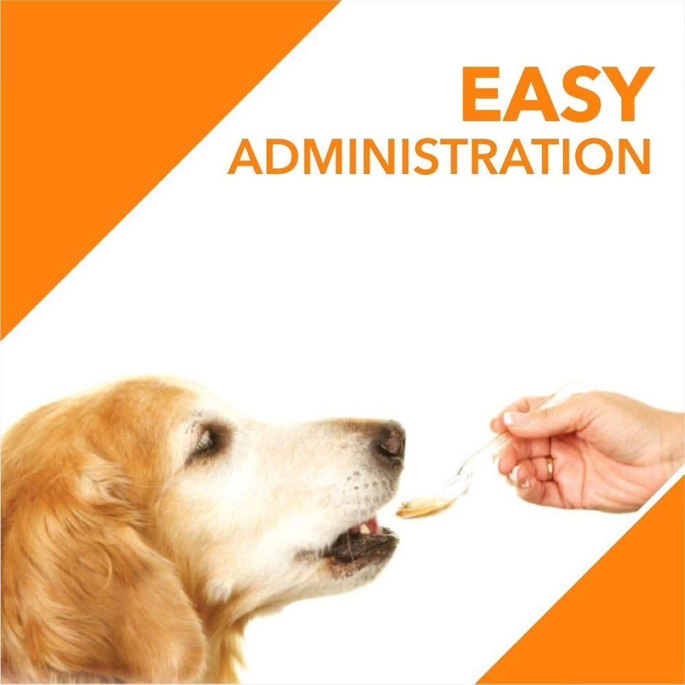 Drools Absolute Salmon Oil for Dogs - dspetstore.com