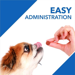 Drools Absolute Vitamin Supplement for Dogs - dspetstore.com