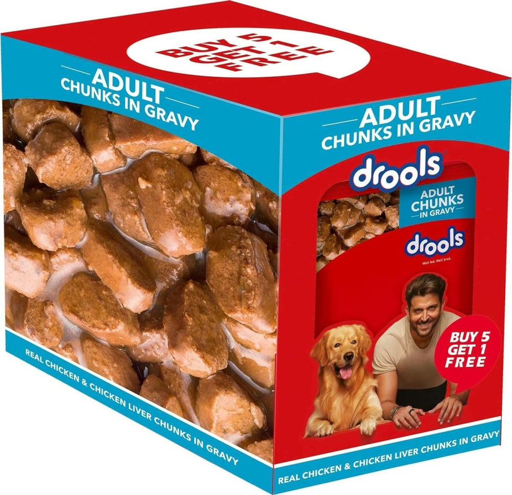 Drools Adult Dog Wet Food Real Chicken and Chicken Liver Chunks in Gravy - dspetstore.com